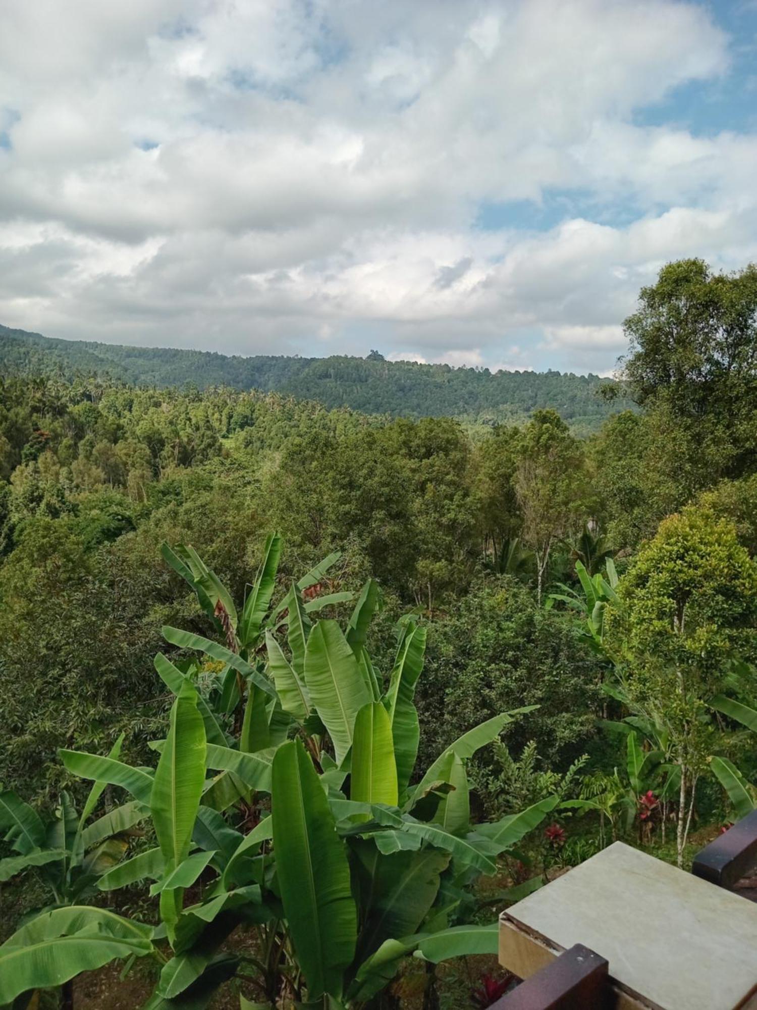 Kanaya Homestay & Warung Heaven موندوغْ المظهر الخارجي الصورة