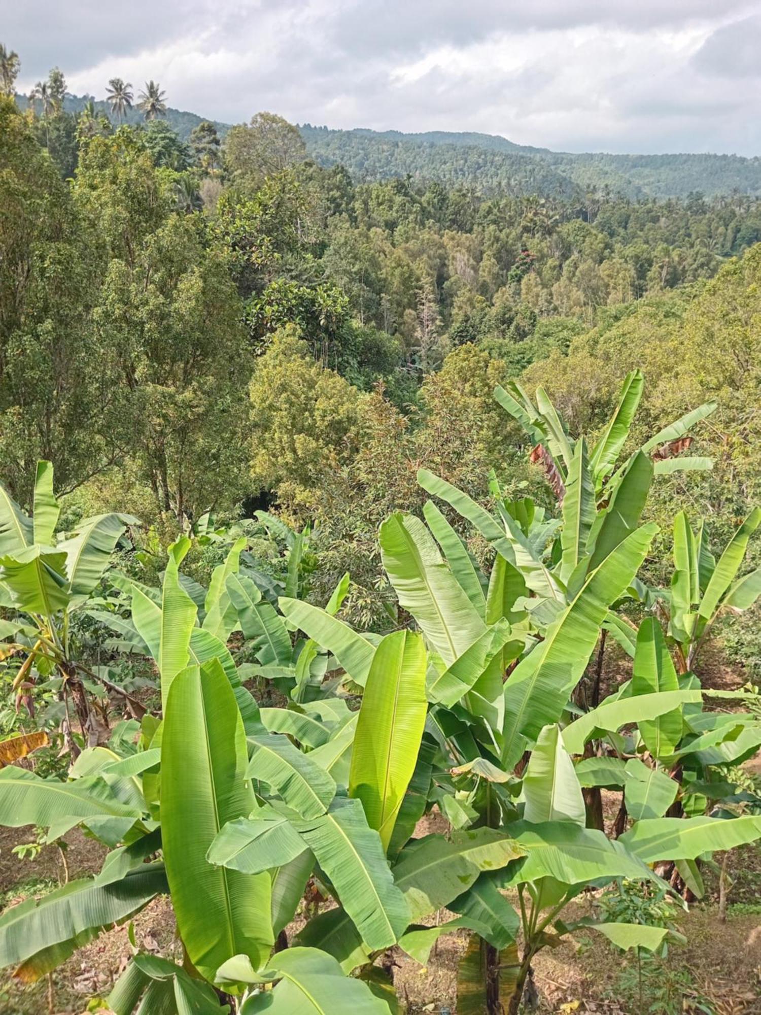 Kanaya Homestay & Warung Heaven موندوغْ المظهر الخارجي الصورة